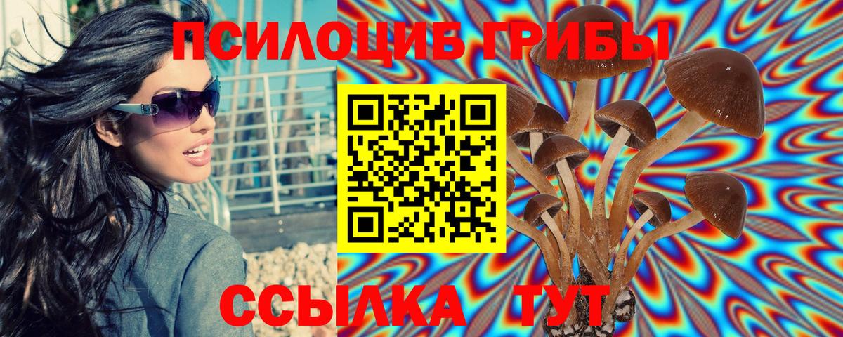 Березники  Галлюциногенные грибы Cubensis  Вход с VPN 