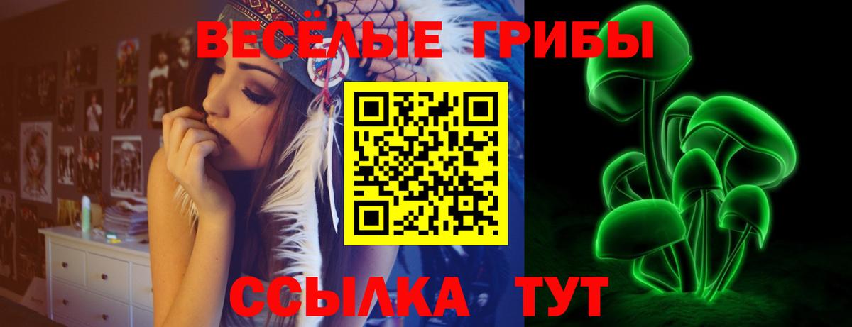 Псилоцибиновые грибы Cubensis Березники